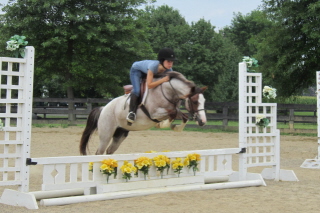 oliver7-20-10 032web